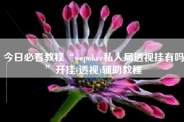 今日必看教程“wepoker私人局透视挂有吗”开挂(透视)辅助教程