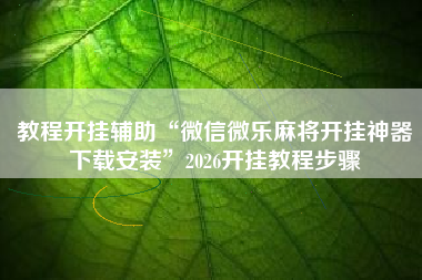 教程开挂辅助“微信微乐麻将开挂神器下载安装”2026开挂教程步骤