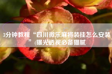 3分钟教程“四川微乐麻将装挂怎么安装	”(曝光透视必备猫腻