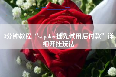 3分钟教程“wepoker挂先试用后付款”详细开挂玩法