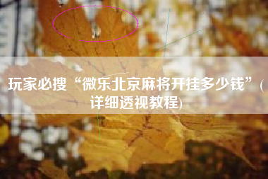 玩家必搜“微乐北京麻将开挂多少钱	”(详细透视教程)