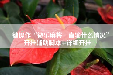 一键操作“微乐麻将一直输什么情况”开挂辅助脚本+详细开挂