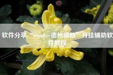 软件分享“wepoker德州辅助	”开挂辅助软件教程