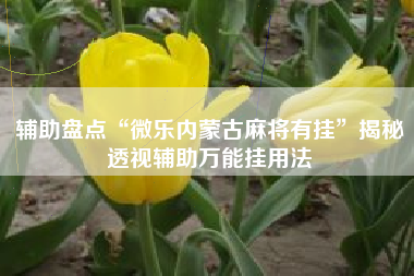 辅助盘点“微乐内蒙古麻将有挂	”揭秘透视辅助万能挂用法