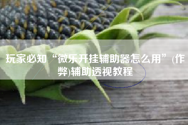玩家必知“微乐开挂辅助器怎么用”(作弊)辅助透视教程