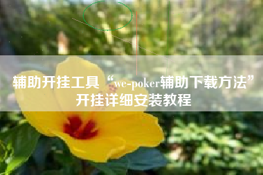 辅助开挂工具“we-poker辅助下载方法”开挂详细安装教程