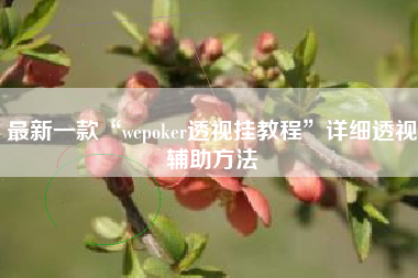 最新一款“wepoker透视挂教程”详细透视辅助方法