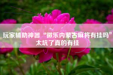 玩家辅助神器“微乐内蒙古麻将有挂吗”太坑了真的有挂