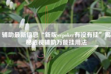 辅助最新信息“新版wepoker有没有挂	”揭秘透视辅助万能挂用法