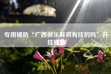 专用辅助“广西微乐麻将有挂的吗”开挂辅助
