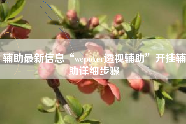 辅助最新信息“wepoker透视辅助	”开挂辅助详细步骤