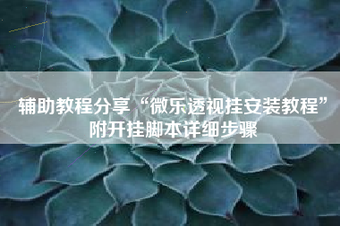 辅助教程分享“微乐透视挂安装教程”附开挂脚本详细步骤