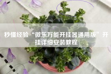 秒懂经验“微乐万能开挂器通用版	”开挂详细安装教程