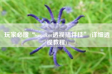 玩家必搜“wepoker透视插件挂	”(详细透视教程)