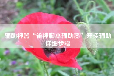 辅助神器“雀神脚本辅助器”开挂辅助详细步骤