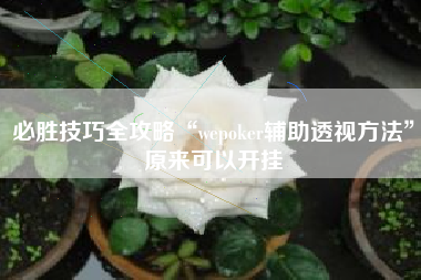 必胜技巧全攻略“wepoker辅助透视方法	”原来可以开挂