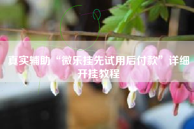 真实辅助“微乐挂先试用后付款”详细开挂教程