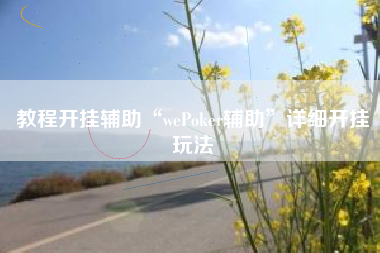 教程开挂辅助“wePoker辅助	”详细开挂玩法