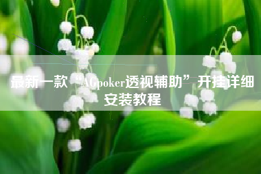 最新一款“AGpoker透视辅助”开挂详细安装教程