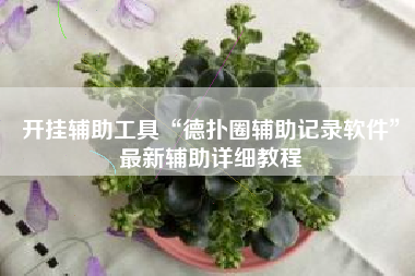 开挂辅助工具“德扑圈辅助记录软件	”最新辅助详细教程