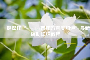 一键操作“wepoker有挂吗百度知道”最新辅助详细教程
