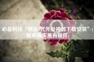 必备科技“微乐3代外卦神器下载安装”(原来确实是有插件)