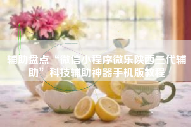 辅助盘点“微信小程序微乐陕西三代辅助	”科技辅助神器手机版教程