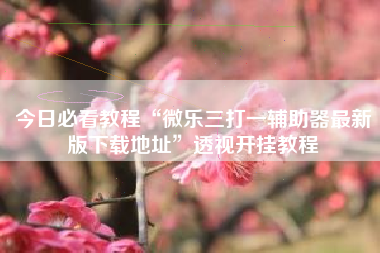 今日必看教程“微乐三打一辅助器最新版下载地址”透视开挂教程