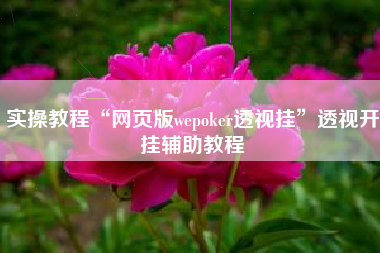 实操教程“网页版wepoker透视挂”透视开挂辅助教程