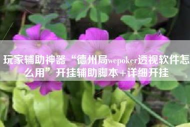 玩家辅助神器“德州局wepoker透视软件怎么用”开挂辅助脚本+详细开挂