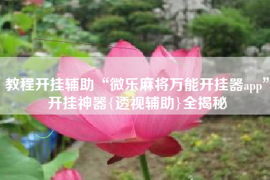 教程开挂辅助“微乐麻将万能开挂器app	”开挂神器{透视辅助}全揭秘