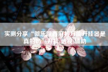 实测分享“微乐陕西麻将万能开挂器是真的吗	”开挂(透视)辅助