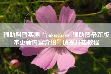 辅助科普实测“pokermaster辅助器最新版本更新内容介绍”透视开挂教程