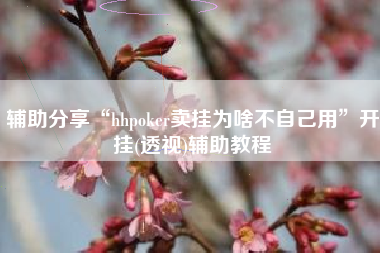 辅助分享“hhpoker卖挂为啥不自己用	”开挂(透视)辅助教程