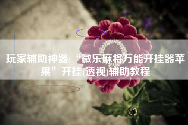 玩家辅助神器:“微乐麻将万能开挂器苹果”开挂(透视)辅助教程