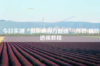 今日实测“微乐麻将万能挂”(作弊)辅助透视教程