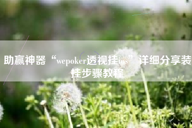 助赢神器“wepoker透视挂ios”详细分享装挂步骤教程