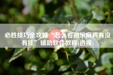 必胜技巧全攻略“怎么看微乐麻将有没有挂	”辅助软件教程(透视)