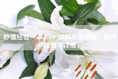 秒懂经验“xpoker一键购买透视挂	”附开挂脚本详细