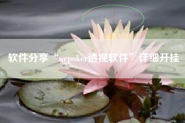 软件分享“wepoker透视软件	”详细开挂