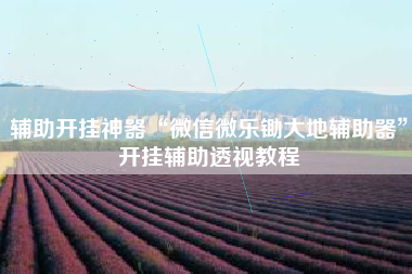 辅助开挂神器“微信微乐锄大地辅助器	”开挂辅助透视教程