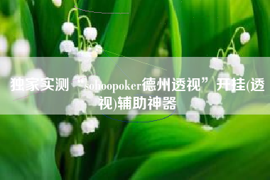 独家实测“sohoopoker德州透视”开挂(透视)辅助神器