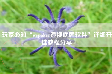 玩家必知“wepoker透视底牌软件	”详细开挂教程分享