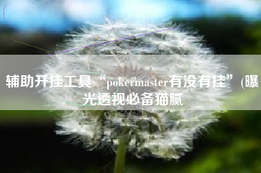 辅助开挂工具“pokermaster有没有挂	”(曝光透视必备猫腻