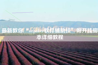 最新教你“wepoker软件辅助挂”附开挂脚本详细教程
