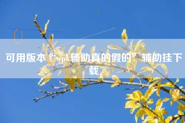 可用版本“wpk辅助真的假的”辅助挂下载