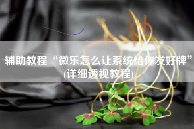 辅助教程“微乐怎么让系统给你发好牌	”(详细透视教程)