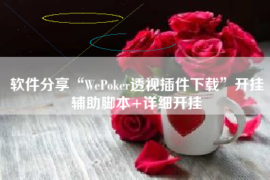 软件分享“WePoker透视插件下载	”开挂辅助脚本+详细开挂