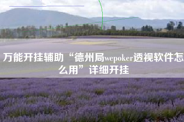 万能开挂辅助“德州局wepoker透视软件怎么用”详细开挂