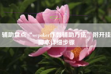 辅助盘点“wepoker作弊辅助方法”附开挂脚本详细步骤